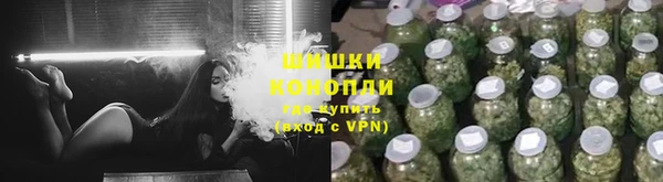 стафф Дмитровск