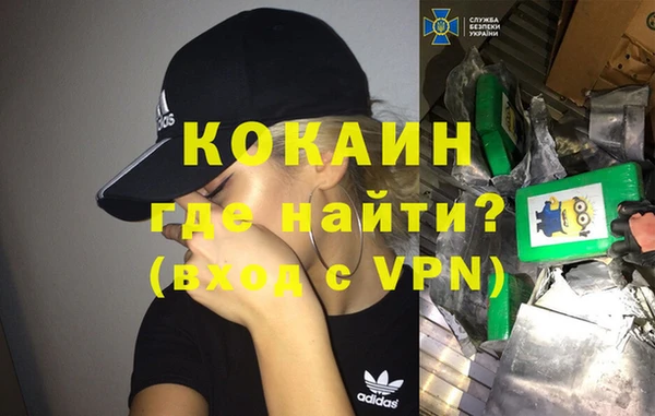 стафф Дмитровск