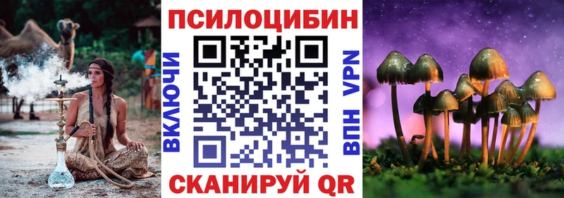 Купить где  Красноармейск  Галлюциногенные грибы Psilocybe 